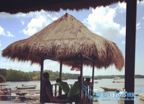 ���嵺���л���֪ʶ