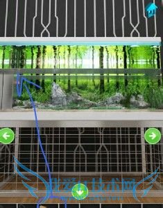 100�����ѹ���(��1�ع��ԣ�