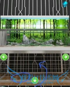 100�����ѹ���(��1�ع��ԣ�