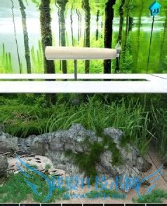 100�����ѹ���(��1�ع��ԣ�