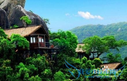 �����Ǳ������߼���