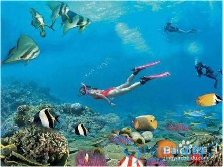 �����Ǳ������߼���