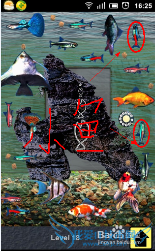 100�����빥�ԣ�[5]��17��18��19��20����ô��