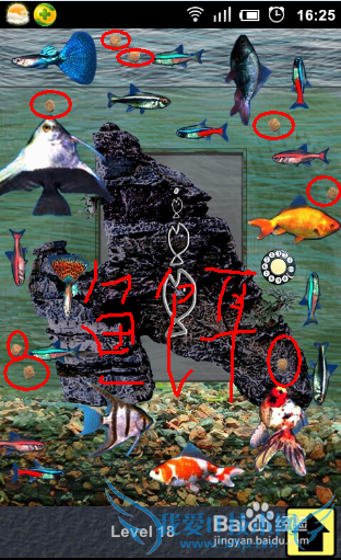 100�����빥�ԣ�[5]��17��18��19��20����ô��