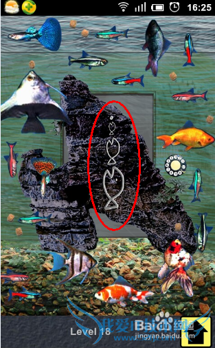 100�����빥�ԣ�[5]��17��18��19��20����ô��