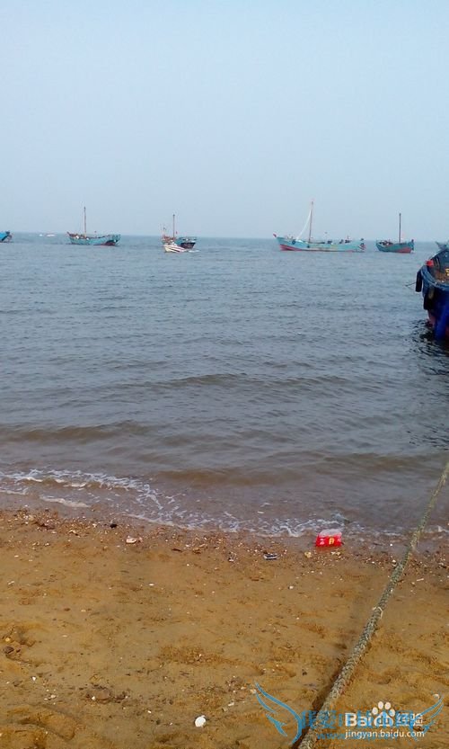 �������������������ι���