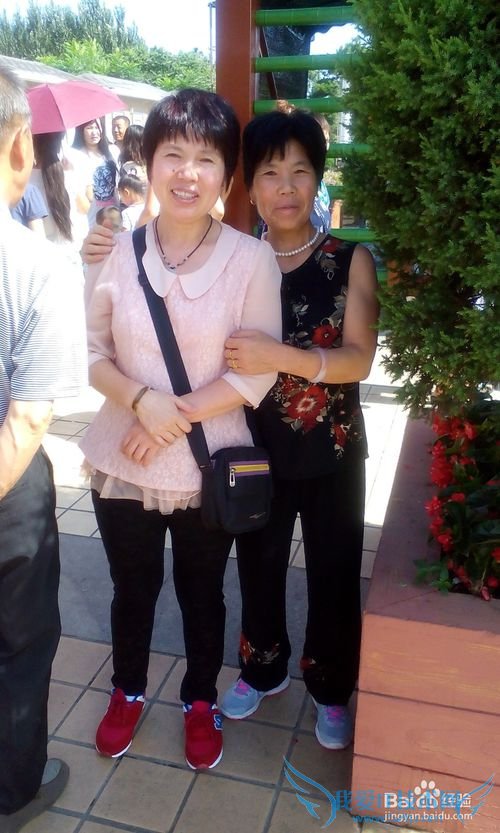 �������������������ι���