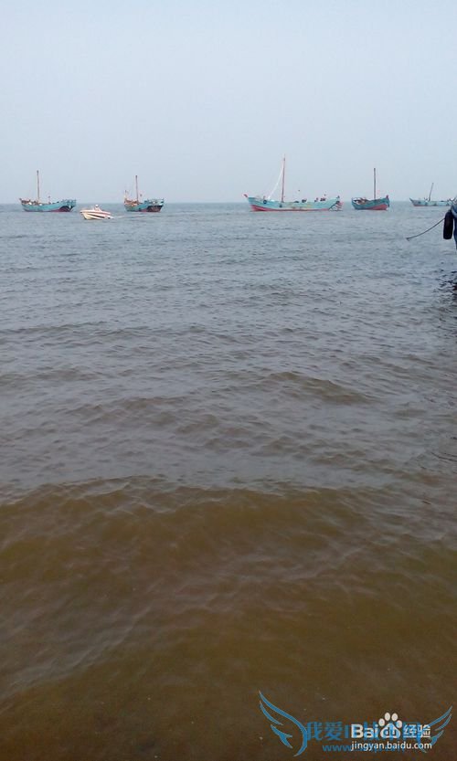 �������������������ι���