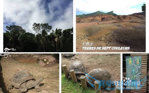 毛里求斯&CLUB MED 爱必浓 攻略