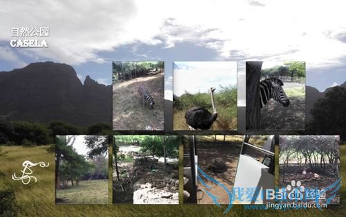 毛里求斯&CLUB MED 爱必浓 攻略