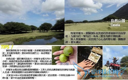 毛里求斯&CLUB MED 爱必浓 攻略