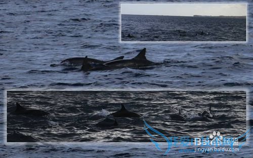 毛里求斯&CLUB MED 爱必浓 攻略