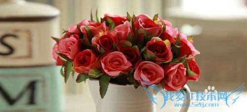 母亲节,送给妈妈的爱与美 攻略