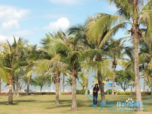 珠海一天游攻略