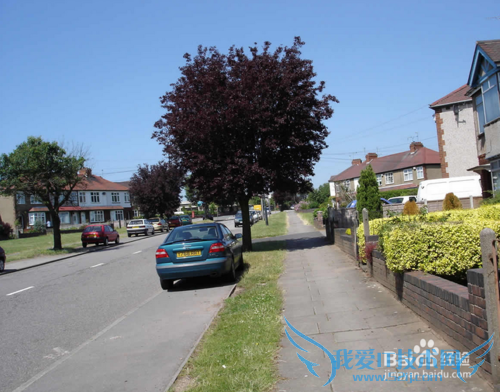 支付宝的芝麻信用分很强大