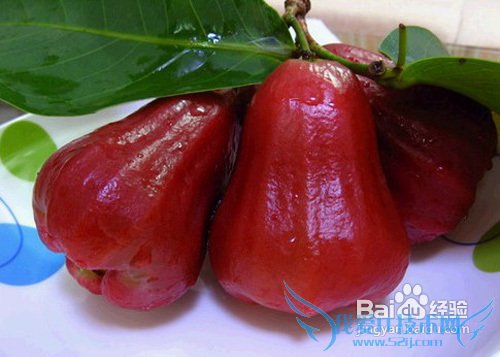 北京—三亚小攻略之吃、住、行