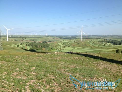 如何选择最佳时节去草原天路之旅