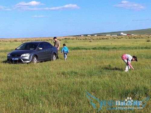 如何选择最佳时节去草原天路之旅