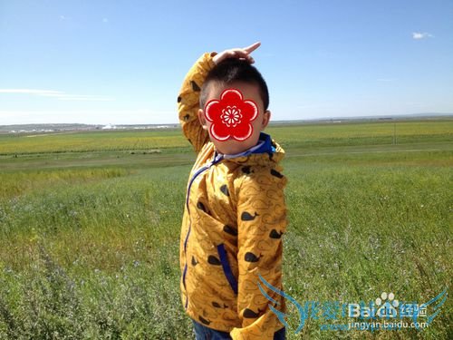 如何选择最佳时节去草原天路之旅