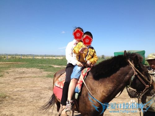 如何选择最佳时节去草原天路之旅