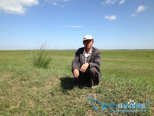 如何选择最佳时节去草原天路之旅