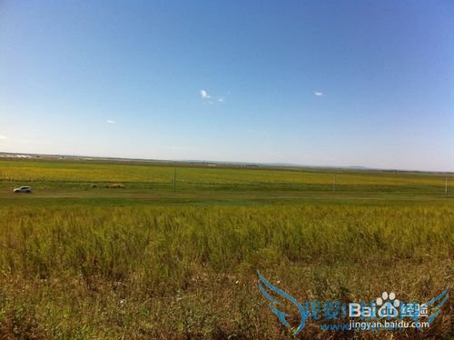 如何选择最佳时节去草原天路之旅