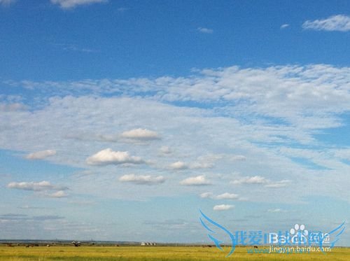 如何选择最佳时节去草原天路之旅