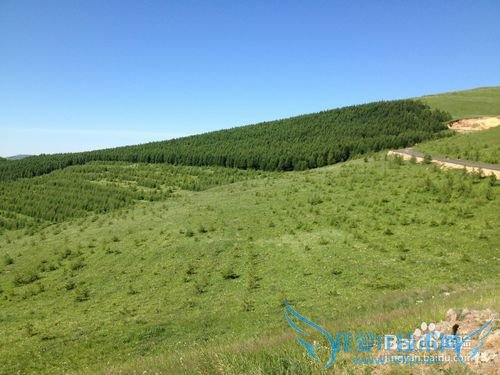 如何选择最佳时节去草原天路之旅