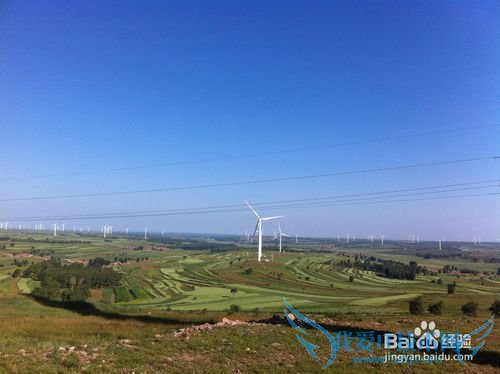 如何选择最佳时节去草原天路之旅