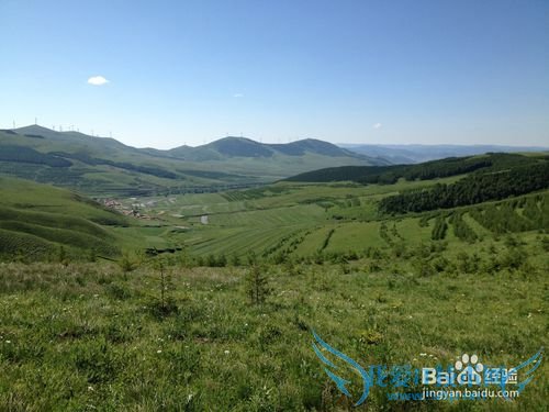 如何选择最佳时节去草原天路之旅