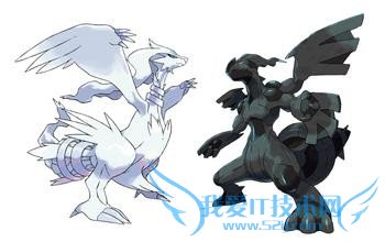 口袋妖怪黑白攻略