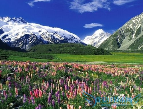 如何安排好每天的时间!(小攻略)