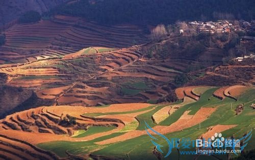 如何安排好每天的时间!(小攻略)