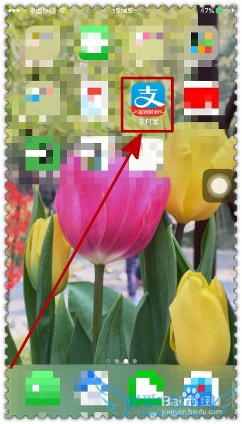 怎样查看支付宝的新春红包盘点?