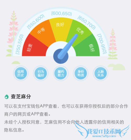 支付宝芝麻信用分在哪里