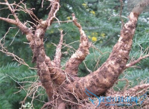 母亲节,妈妈喜欢什么?给妈妈送什么礼物?