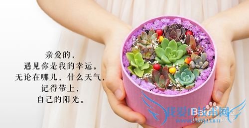 多肉礼物的私人定制