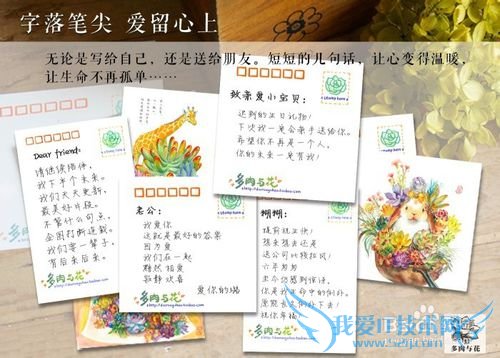 多肉礼物的私人定制