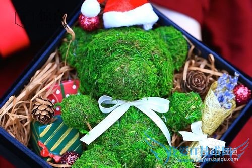 多肉礼物的私人定制