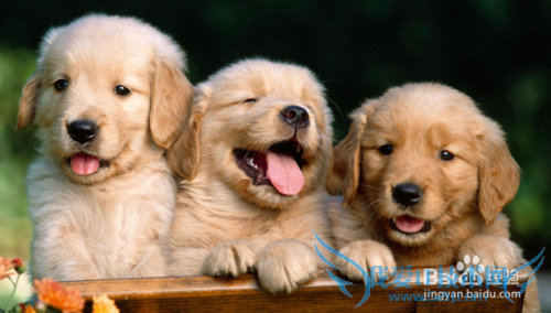 过年回家孝敬父母带什么礼物好?