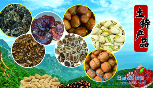 过年回家孝敬父母带什么礼物好?