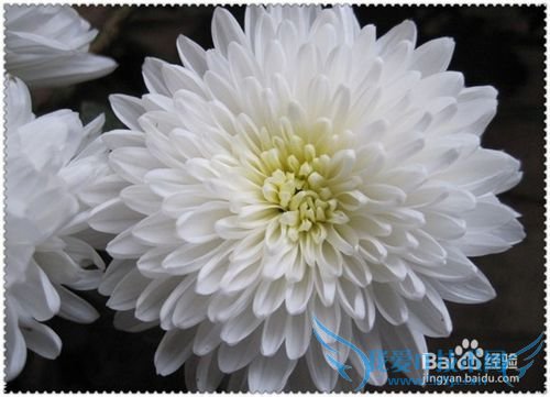 什么东西不能当礼物送人?送生日礼物的禁忌