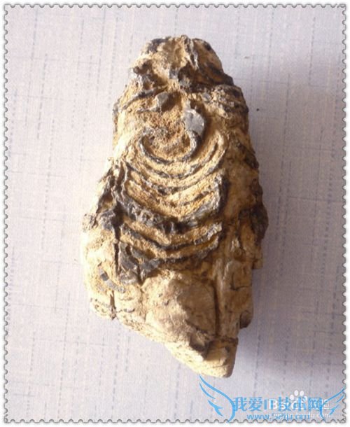 什么东西不能当礼物送人?送生日礼物的禁忌