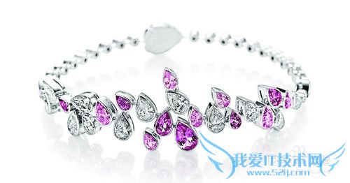 ϵ֮ʥڸŮʲôã2013