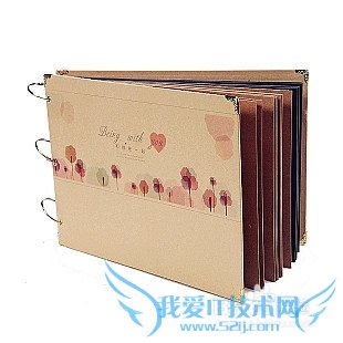 ϵ֮ʥڸŮʲôã2013