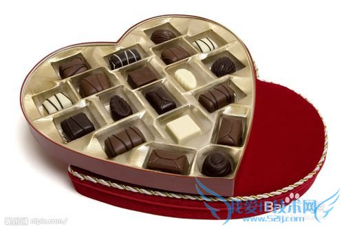 ϵ֮ʥڸŮʲôã2013