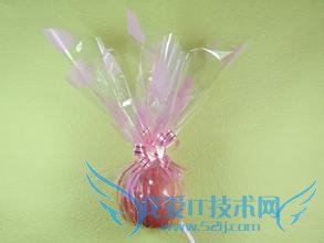 ϵ֮ʥڸŮʲôã2013