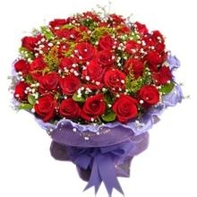 ϵ֮ʥڸŮʲôã2013