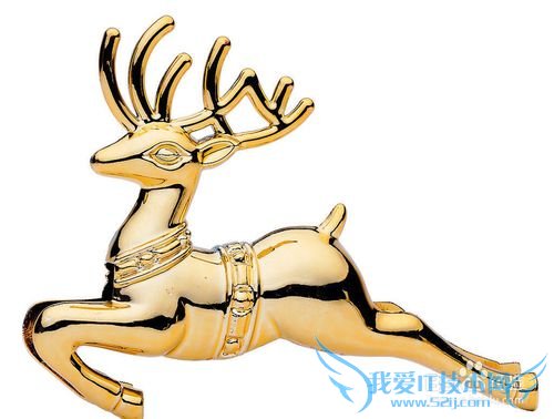 ϵ֮ʥڸŮʲôã2013