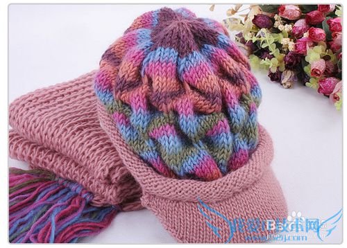 ϵ֮ʥڸŮʲôã2013